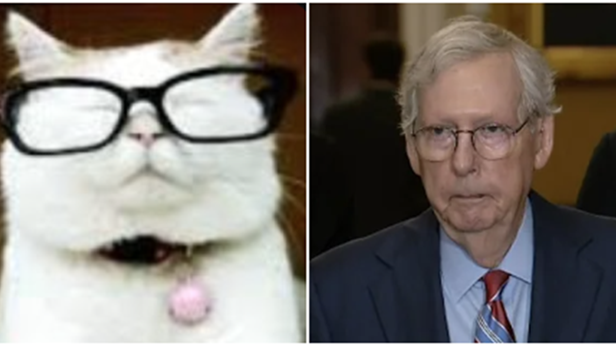 La predicción de Catturd: la misión de Mitch McConnell para derrotar a Trump