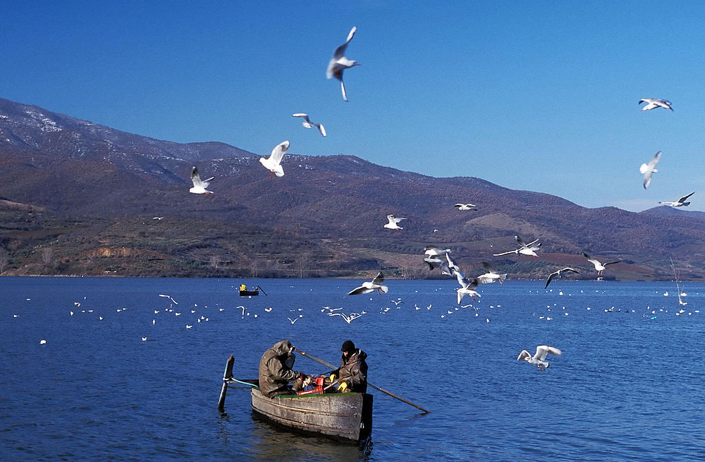 Lake Bacterium Discovery reescribe la historia de la evolución fotosintética
