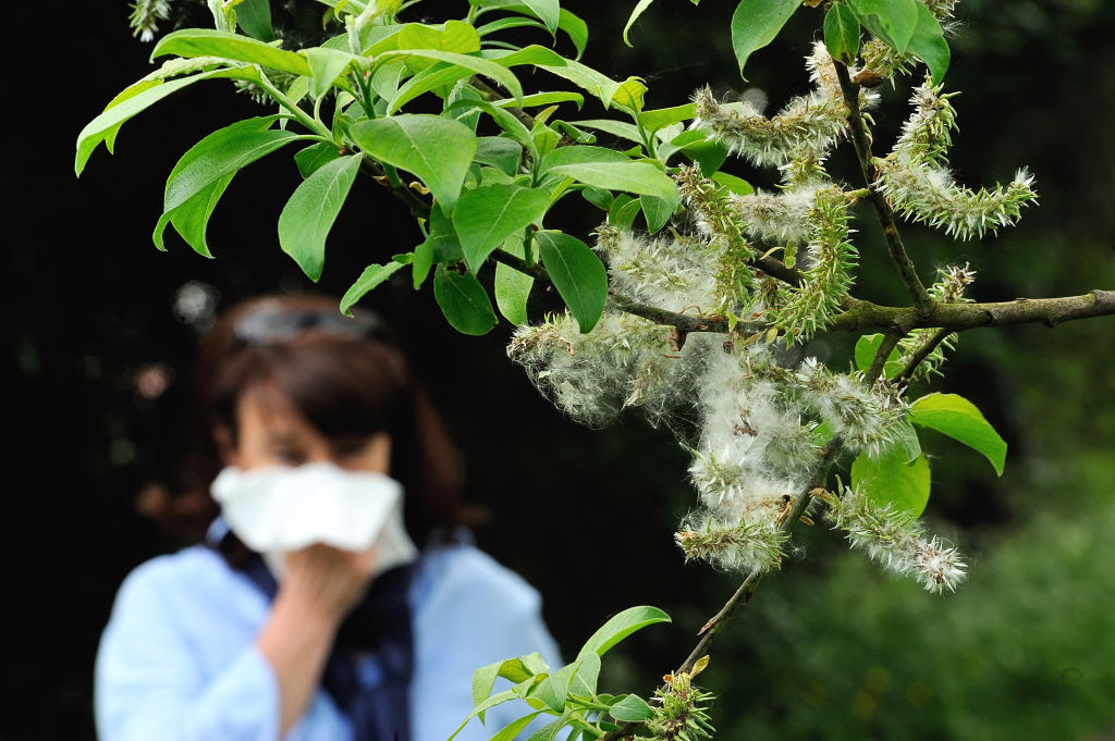 Temporada de alergias primaverales: mejores formas de prevenir riesgos para la salud