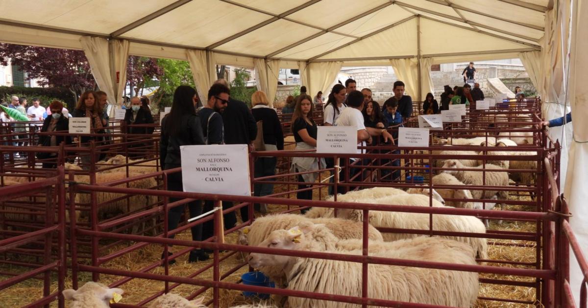 Eventos en Mallorca del 12 al 18 de abril de 2024