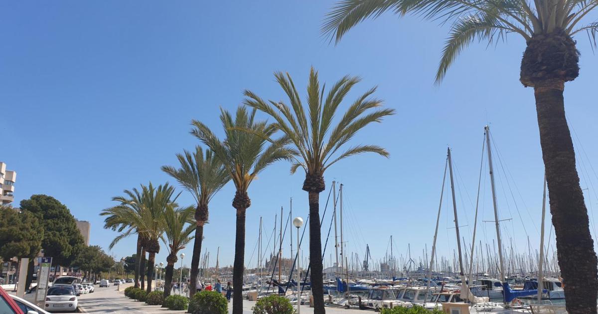 El tiempo en Mallorca para el domingo 21 de abril del 2024