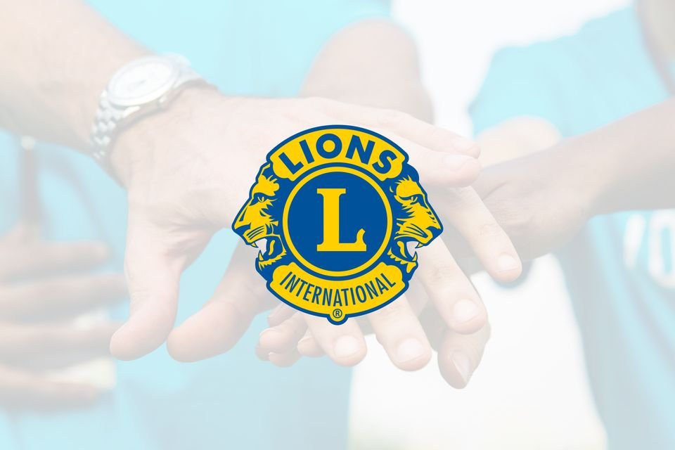 Fiesta de leones en el parque « Euro Weekly News