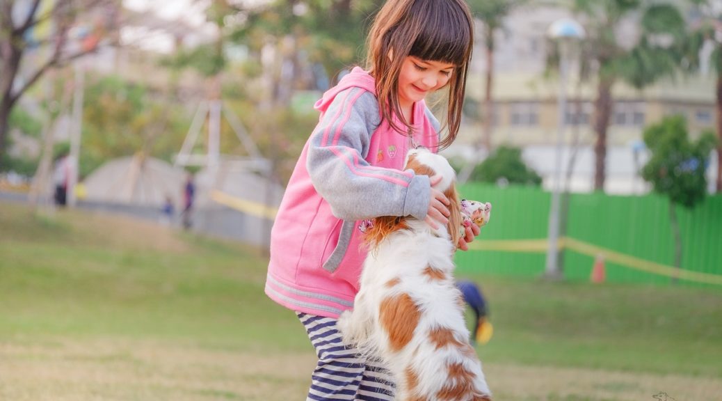 Cómo manejar los saltos – Ontario SPCA y Humane Society