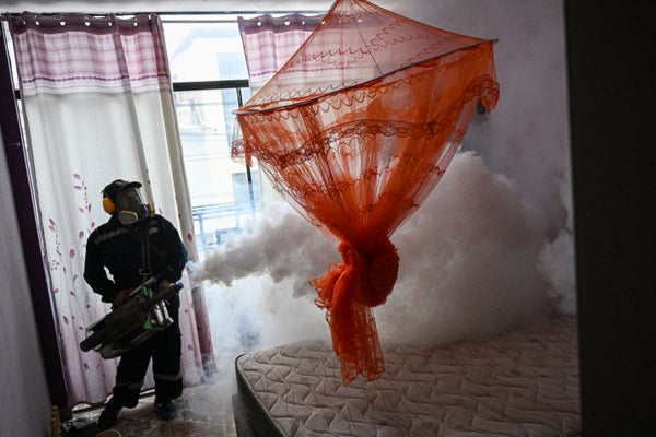 Un brote de dengue está estableciendo récords en las Américas