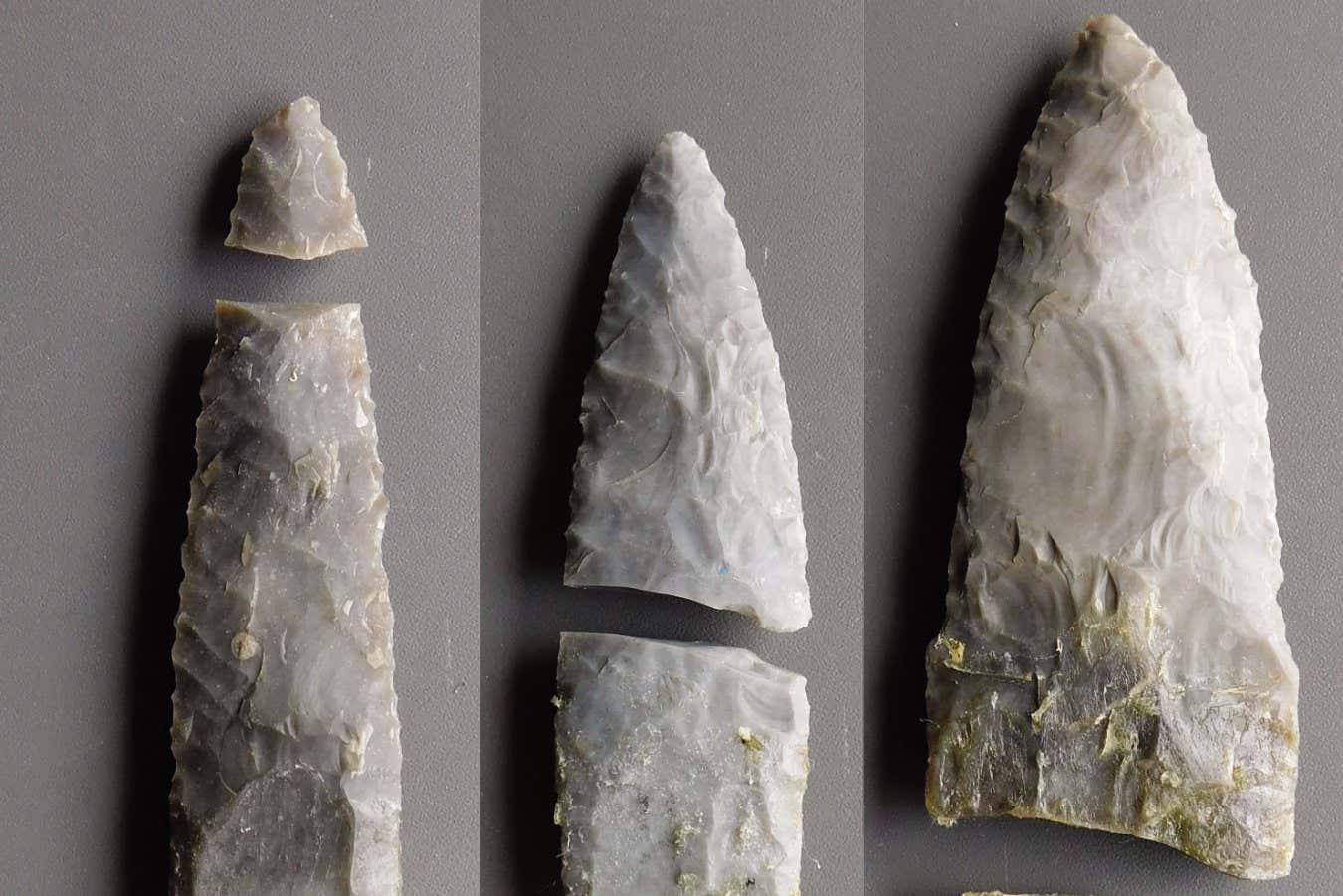 Las hojas de la Edad de Piedra podrían haberse utilizado para la carnicería, no sólo para la caza