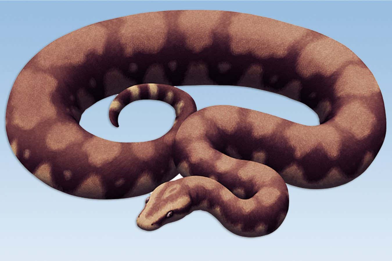 La serpiente fósil descubierta en la India puede haber sido la más grande jamás descubierta