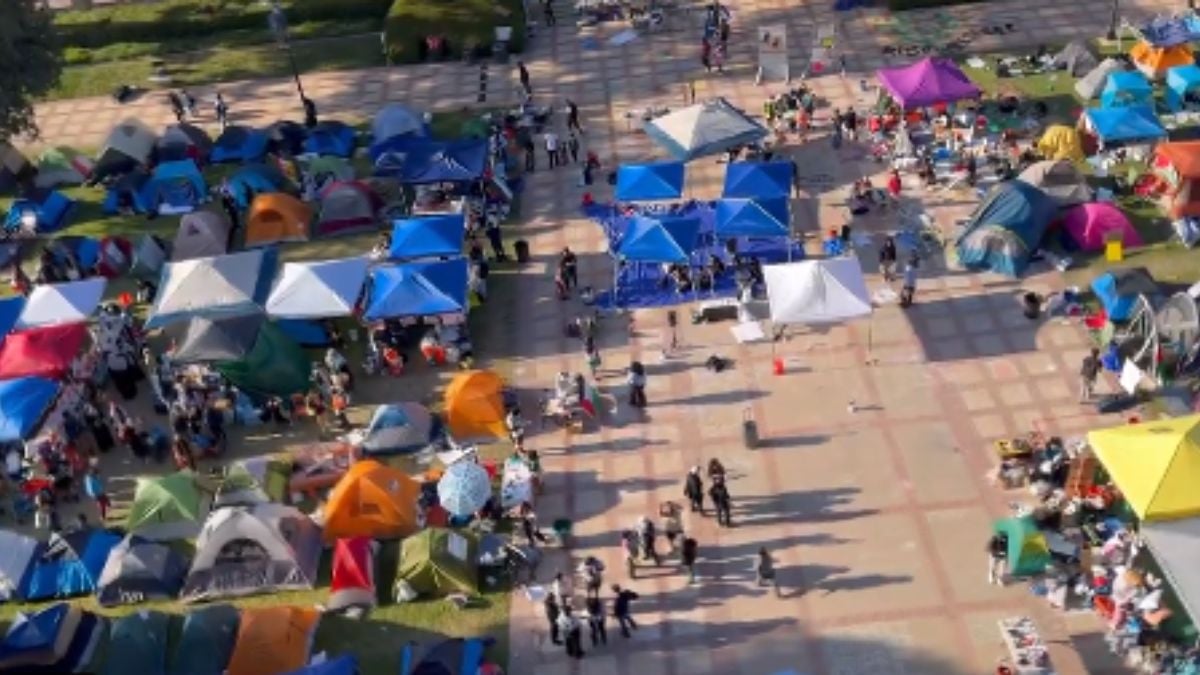 Legisladores piden rendición de cuentas por la violencia universitaria a favor de Hamás