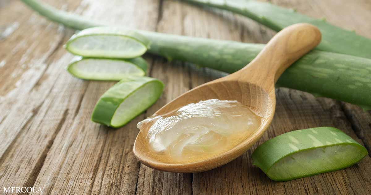 ¿Para qué sirve el aloe vera?