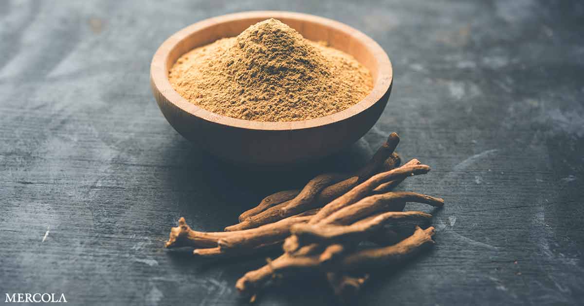 Ashwagandha para la función cognitiva