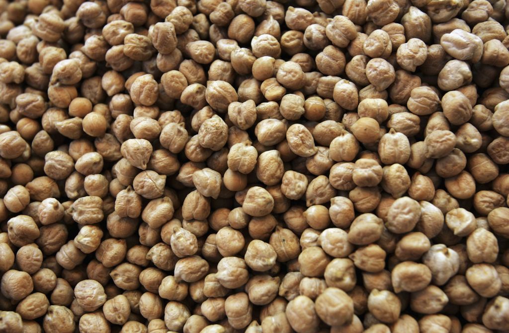 Investigadores identificaron un factor genético que contribuye a una temporada de producción más larga en los cultivos de guisantes