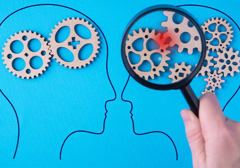 El sexo biológico influye en la expresión de proteínas cerebrales