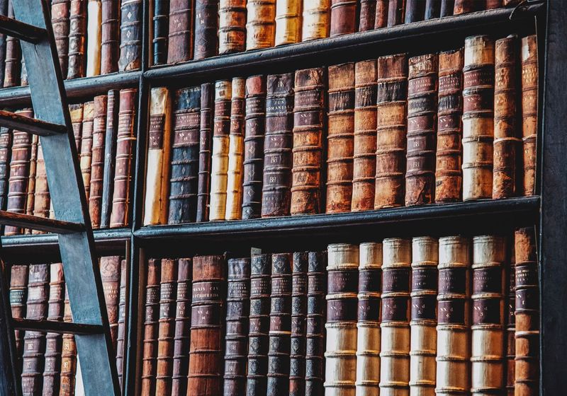 Construyendo una narrativa científica |  La revista científica®