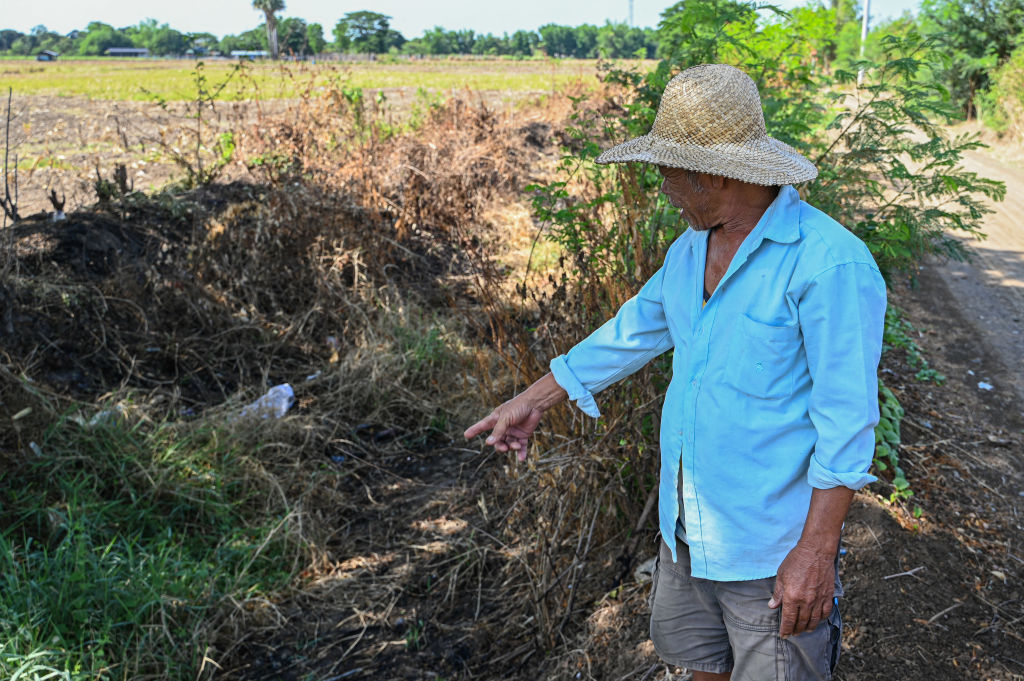 Se debe empoderar a los agricultores para que funcione la nueva ley de naturaleza de la UE, dicen los científicos