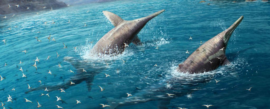 Huesos antiguos dan pistas sobre el reptil marino más colosal que el mundo haya visto jamás: ScienceAlert