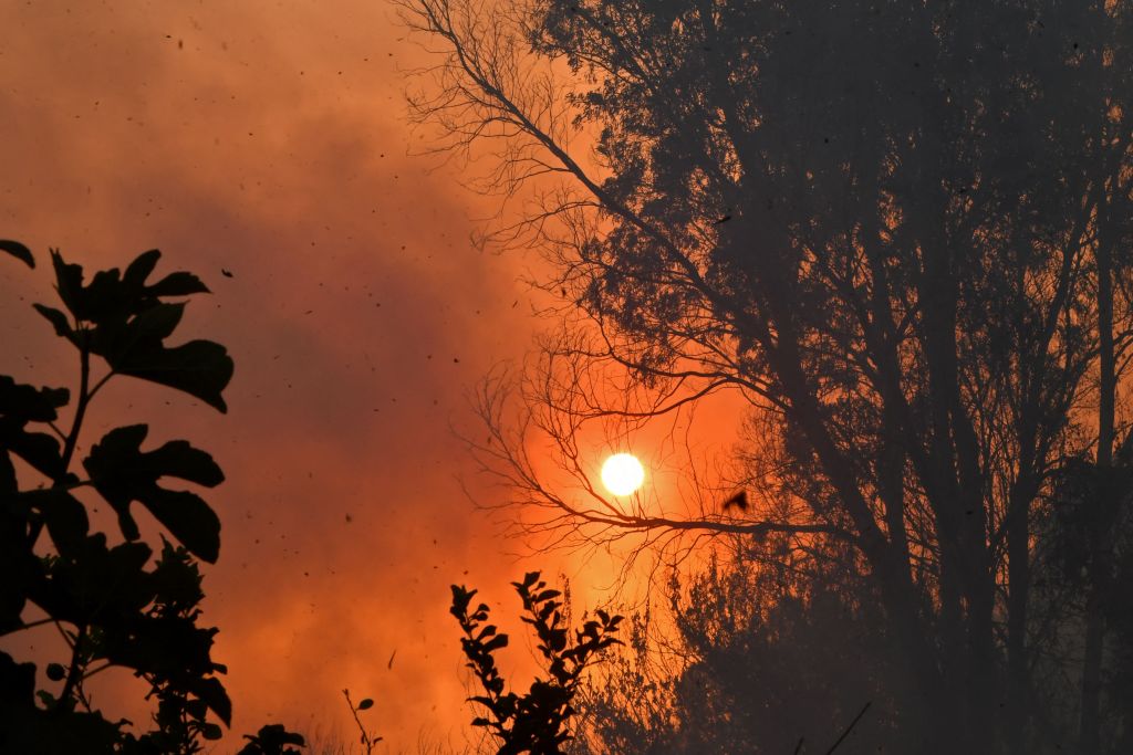 Muertes y hospitalizaciones en África occidental relacionadas con el cambio climático inducido por el hombre