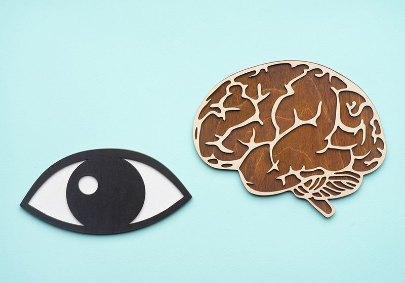 Vigilando la inmunidad cerebral