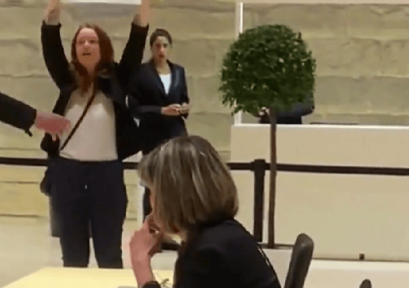 Activistas de PETA arrestados: Se interrumpe la reunión anual de LVMH