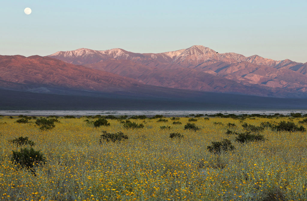 El primer caso relacionado con el clima en Asia: Corea del Sur acusada de no proteger a las personas del impacto del cambio climático