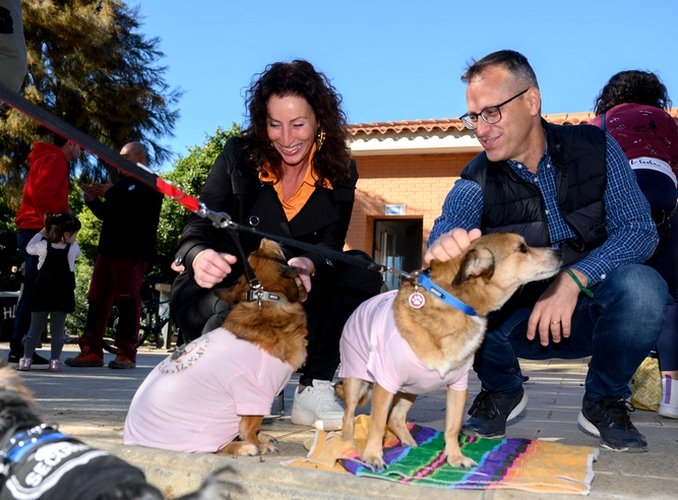 Contrato de 1,3 millones de euros para el rescate de animales « Euro Weekly News