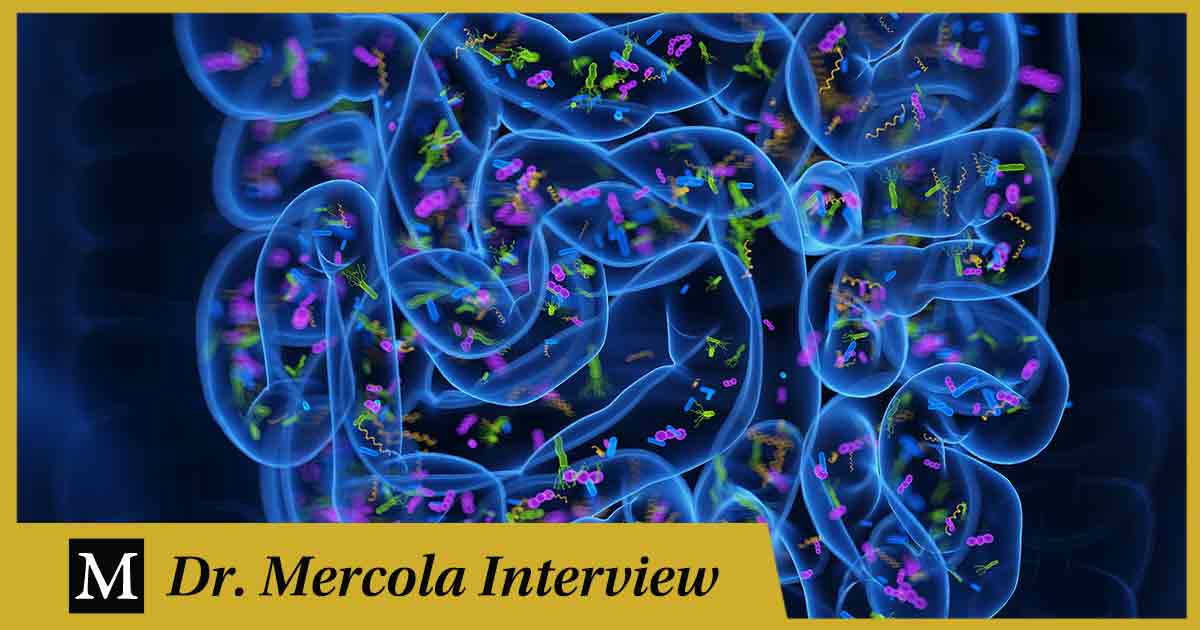 Georgi Dinkov: cómo influye su microbioma en sus recomendaciones dietéticas