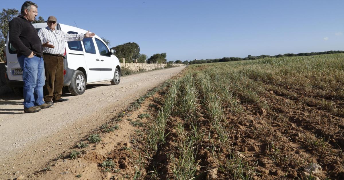 Tierras agrícolas inactivas o abandonadas