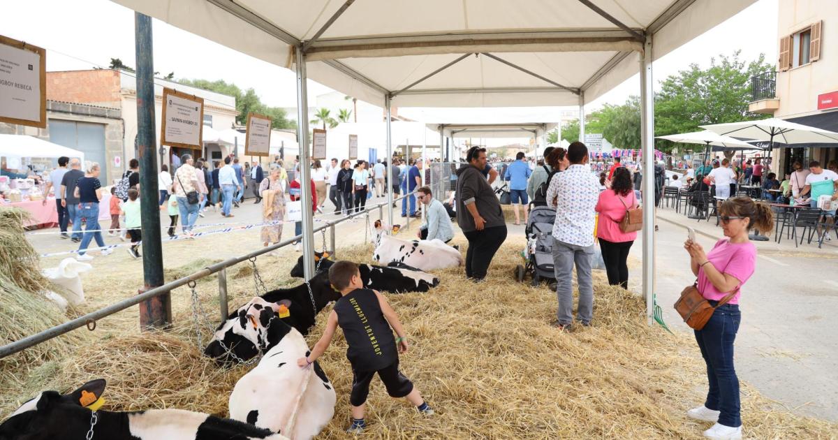 Eventos en Mallorca del 10 al 12 de mayo de 2024