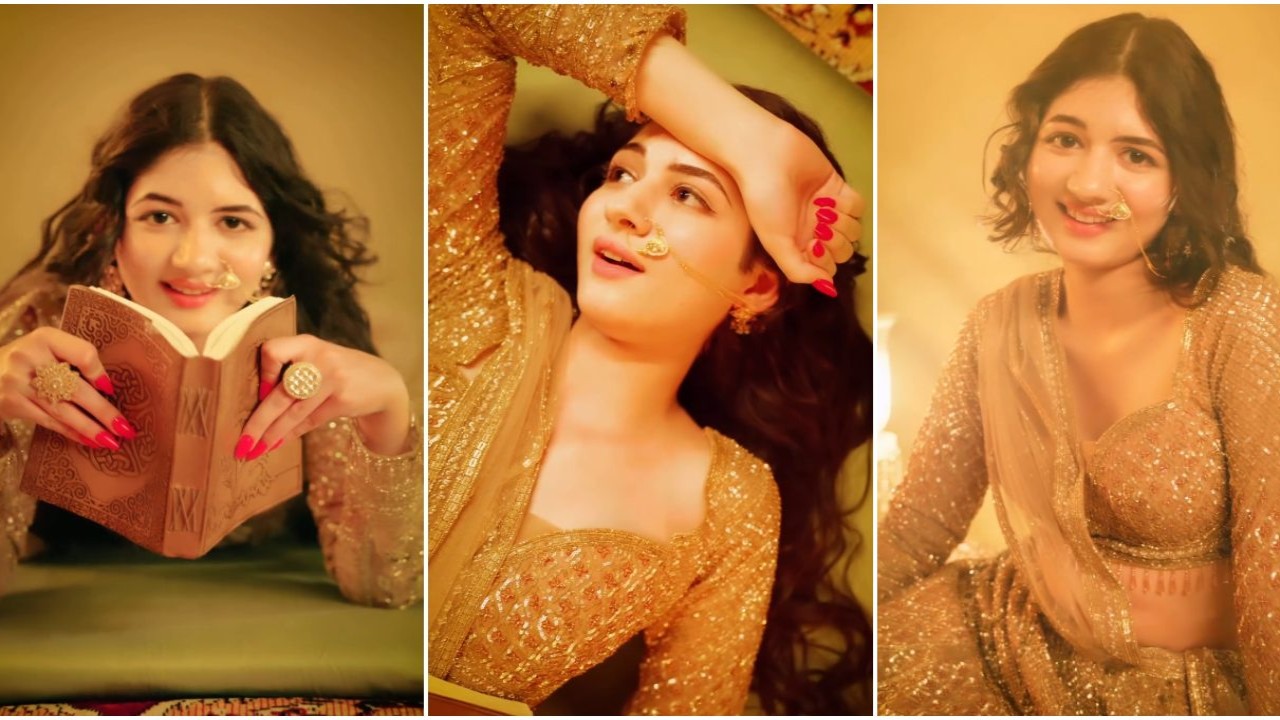 El video inspirado en Heeramandi de Harshaali Malhotra de Bajrangi Bhaijaan es ORO;  Los fans dicen: “Ojalá hubieras hecho el papel de Alamzeb”.