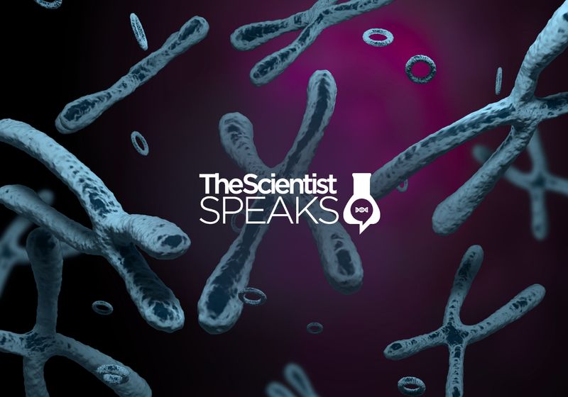 Comprender los efectos del ADN extracromosómico sobre el cáncer