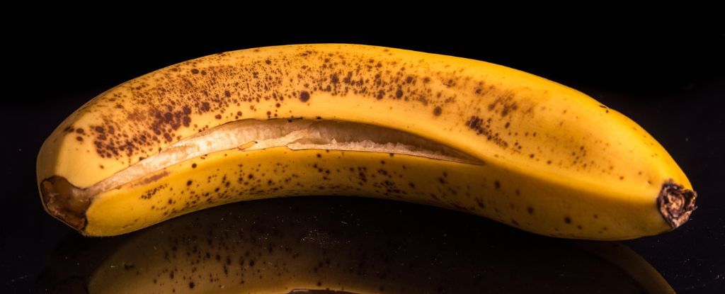 Algo realmente asombroso sucede cuando se utiliza cáscara de plátano como ingrediente: ScienceAlert