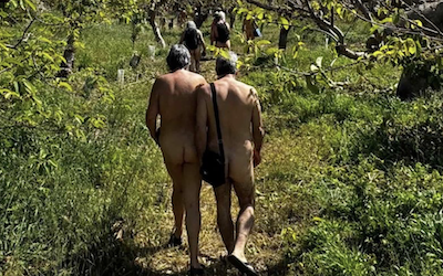 Piel desnuda y frutas tropicales