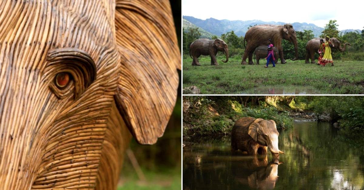 “Fort Kochi tendrá 100 elefantes ‘Lantana'”.  Y he aquí por qué necesitas verlos
