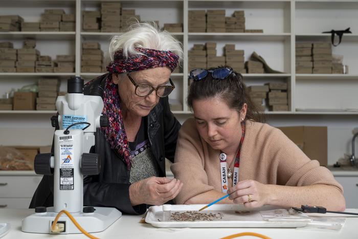 Los artefactos muestran que la isla de Timor fue colonizada hace 45.000 años