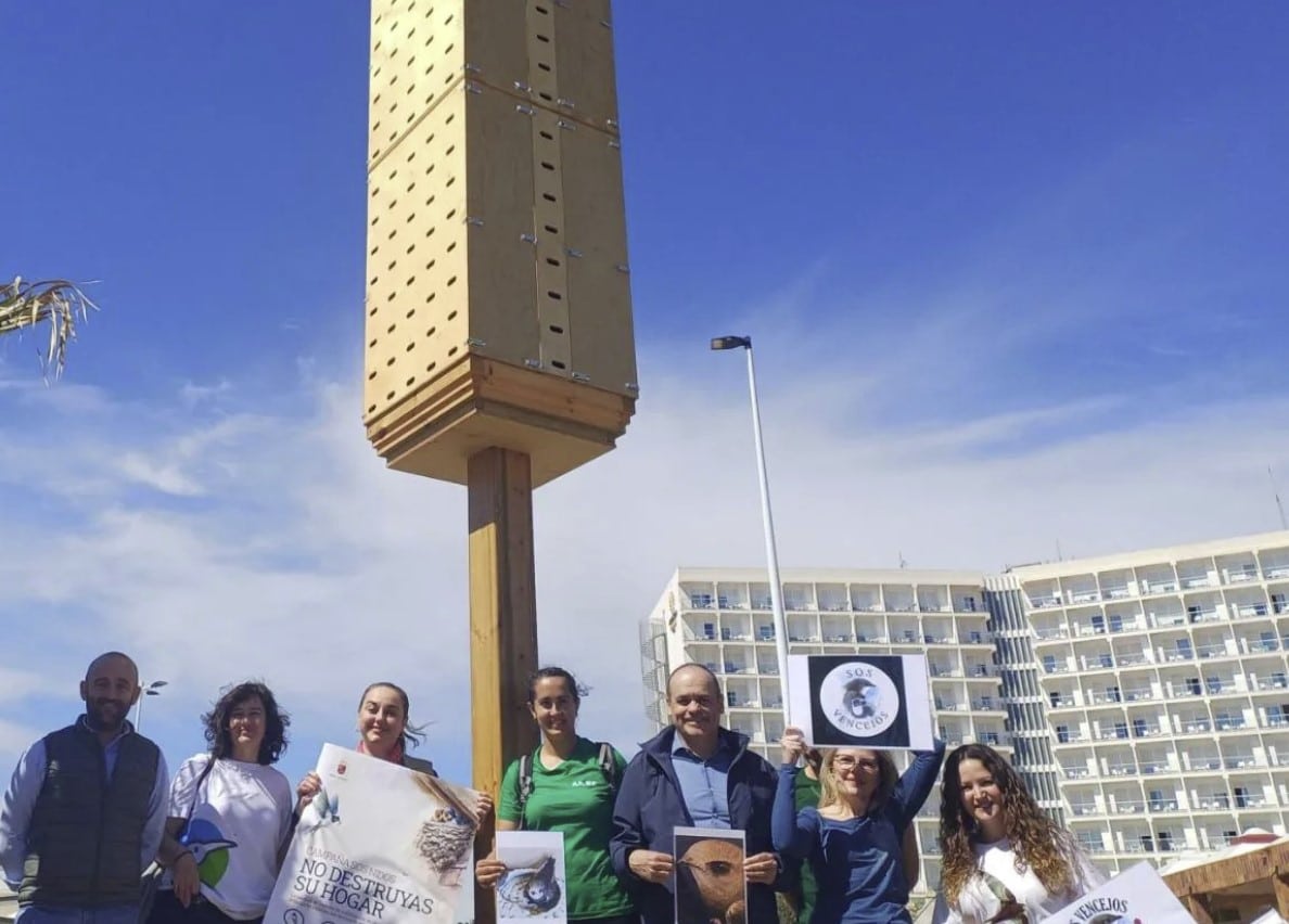 La UE financia 600 nuevos ‘hogares’ para aves migratorias en San Javier
