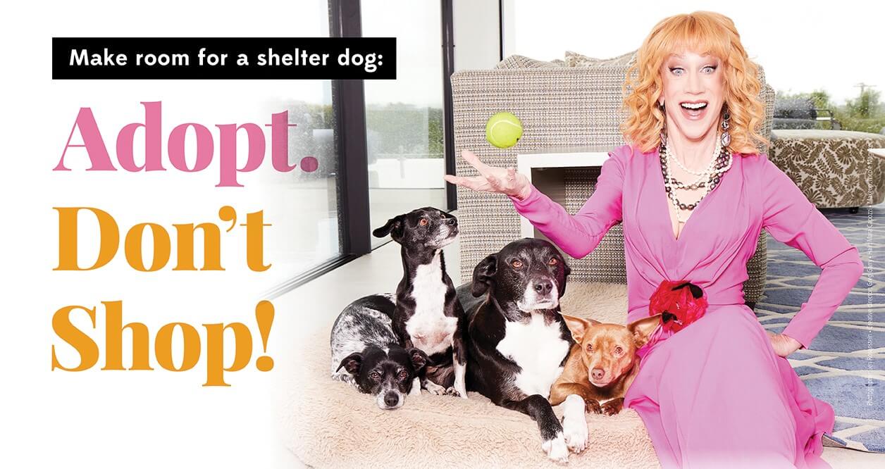 Kathy Griffin: Hagan espacio para los perros sin hogar