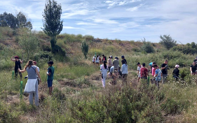Los niños de la escuela plantan árboles |  Noticias Gaceta Costa Tropical