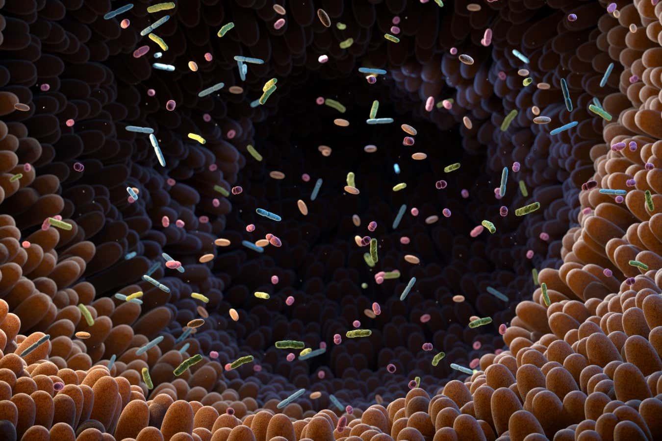 El microbioma intestinal del padre puede afectar la salud infantil