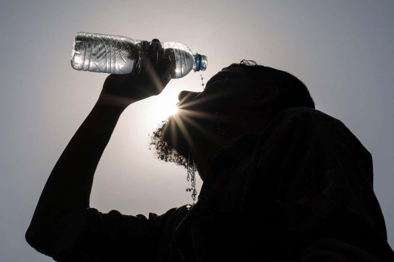 No se deje engañar por el fin de El Niño: el cero neto es más urgente que nunca