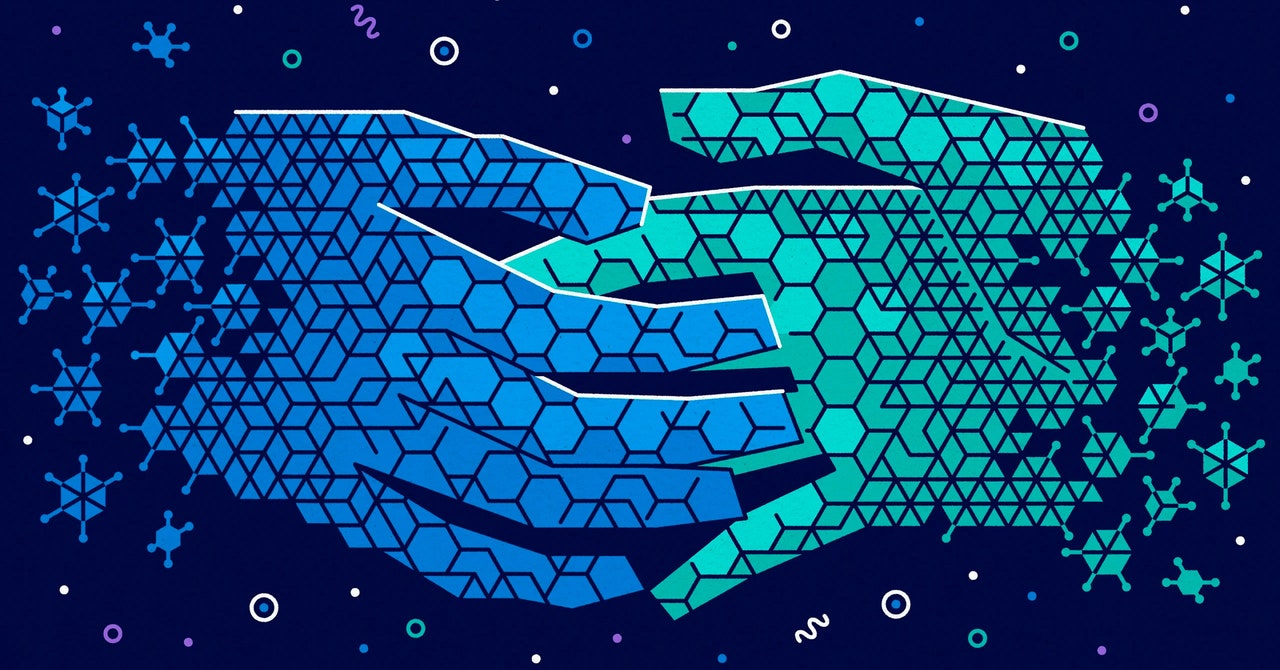 La compleja vida social de los virus