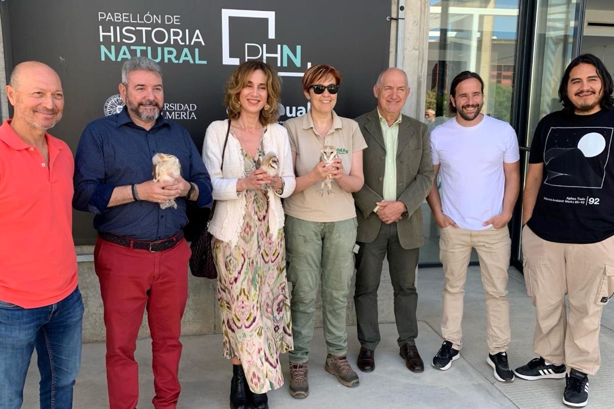 Mochuelos criados en la Universidad de Almería « Euro Weekly News