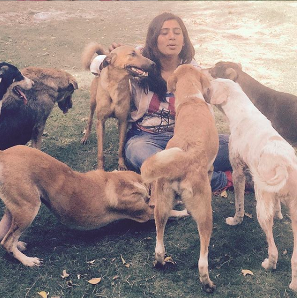Mujer de Noida salva a más de 80 perros heridos y discapacitados de asesinatos por piedad