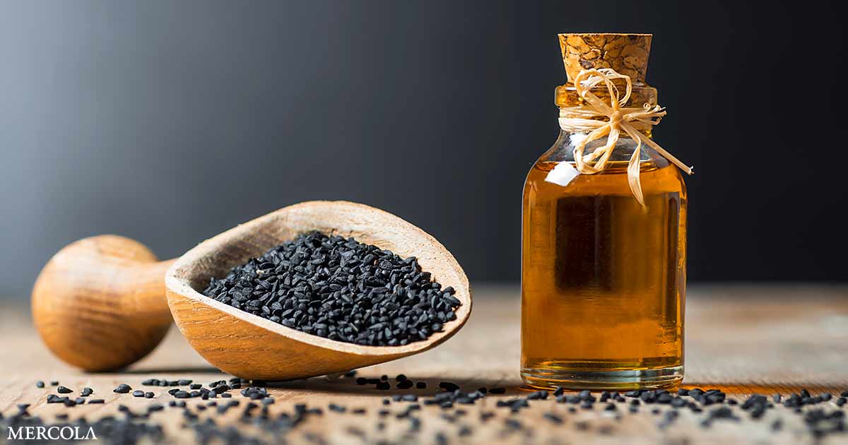 Aceite de semilla negra: un aliado natural para mantener una vida libre de enfermedades