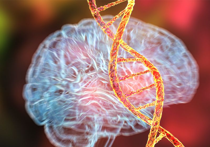 Un gran avance cerebral que lleva 25 años en desarrollo