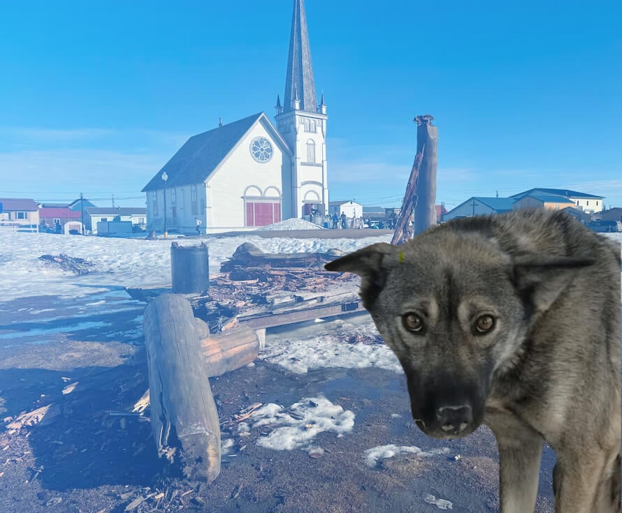 Así es como debería verse el nuevo arco de la línea de meta Iditarod