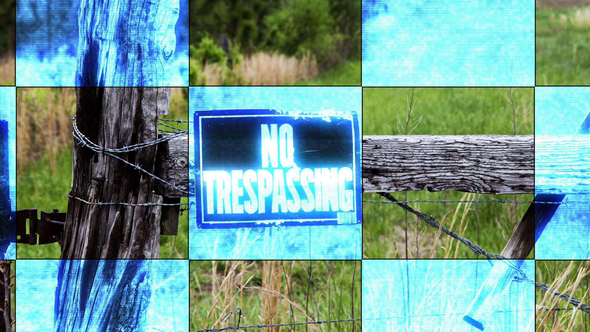 El Tribunal de Apelaciones de Tennessee falla contra los agentes de vida silvestre que colocaron cámaras en terrenos privados
