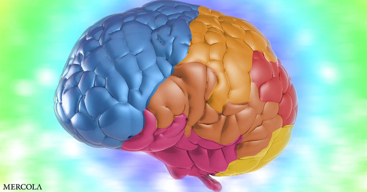 ‘Evidencia sólida y consistente’ vincula las multivitaminas con la memoria y los beneficios cognitivos