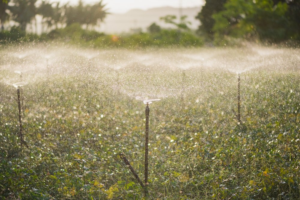 La Junta de Andalucía propone ajustes en la asignación del agua « Euro Weekly News
