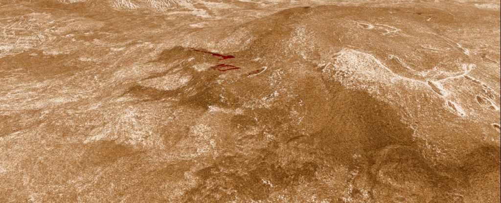 Venus parece ser un foco de actividad volcánica: ScienceAlert