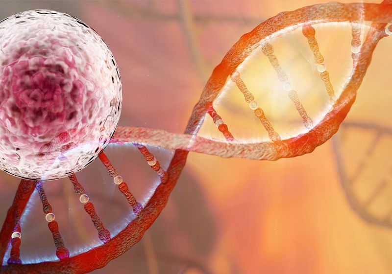 Uso de cartografía genética para mapear el linaje celular