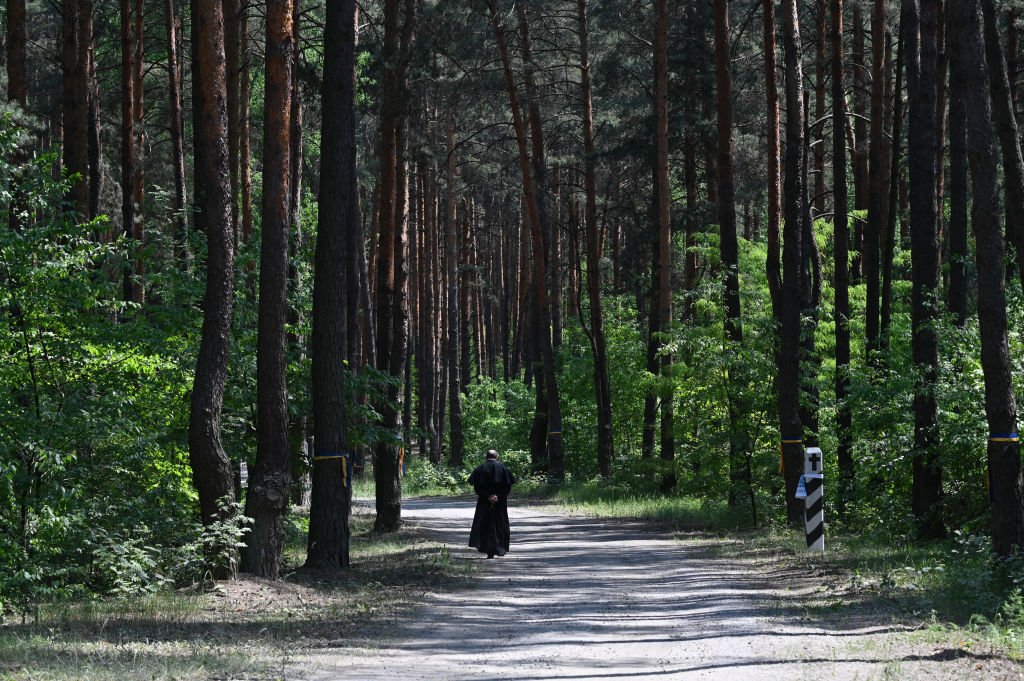 El análisis del auge del mercado voluntario de compensación de carbono muestra una mayor actividad en Asia y el Pacífico