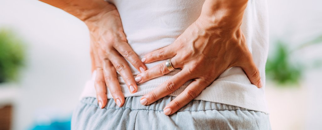 Un ejercicio simple es una solución pasada por alto para el dolor lumbar: ScienceAlert